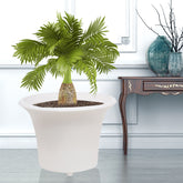 Round Trunk Pot